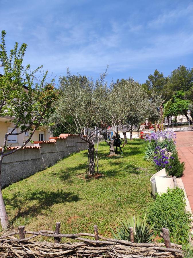 Apartment Erenda