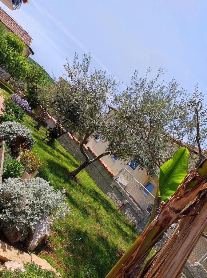 Erenda Apartment Fuškulin